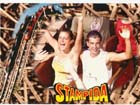 stampida
