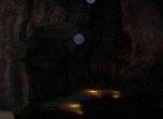 a81.jpg
